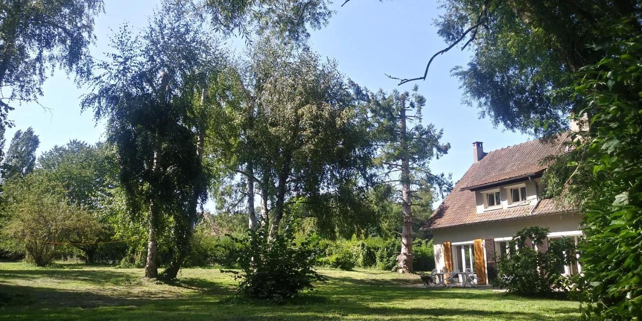Villa - Coulommiers - Parcs Des Felins - Provins Beautheil-Saints Kültér fotó