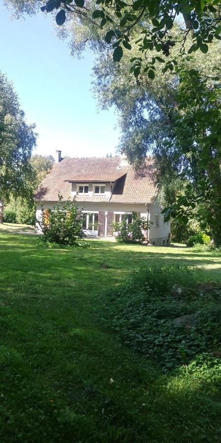 Villa - Coulommiers - Parcs Des Felins - Provins Beautheil-Saints Kültér fotó