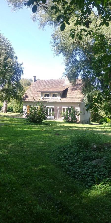Villa - Coulommiers - Parcs Des Felins - Provins Beautheil-Saints Kültér fotó