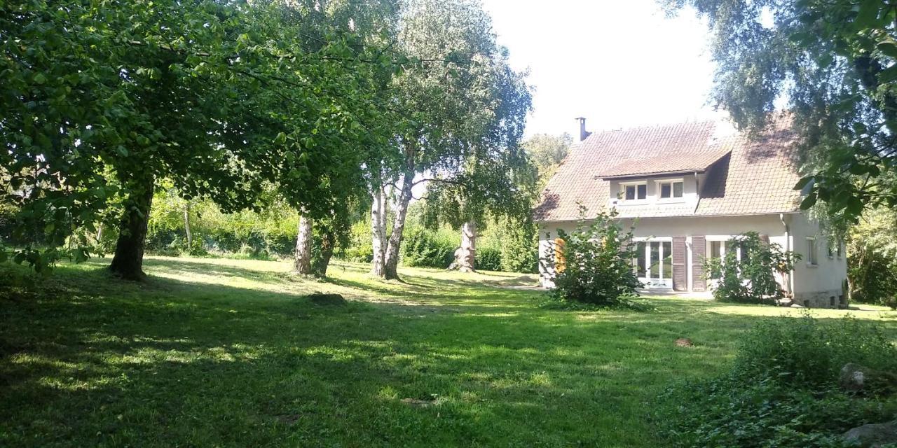 Villa - Coulommiers - Parcs Des Felins - Provins Beautheil-Saints Kültér fotó