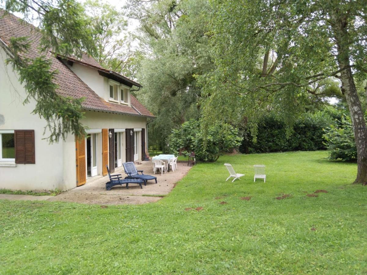 Villa - Coulommiers - Parcs Des Felins - Provins Beautheil-Saints Kültér fotó